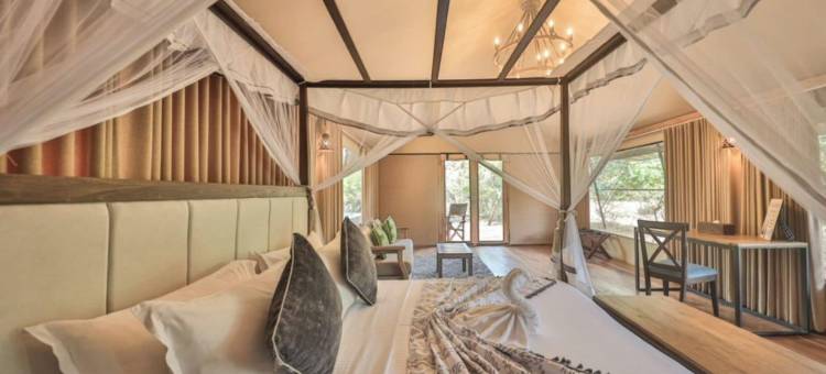 Tribe Yala - 豪华露营(Tribe Yala - Luxury Camping)图片