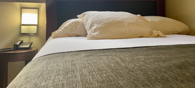 索非亚家庭旅馆精品青年旅舍(Sofia's B&B Hostal Boutique)图片