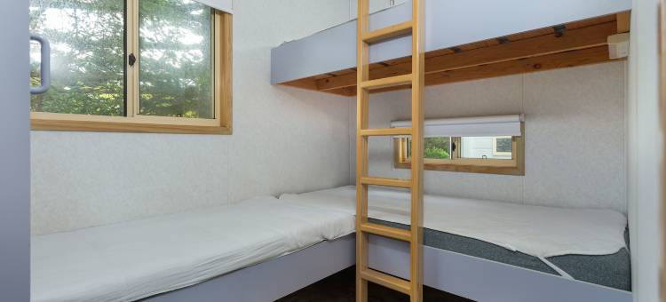 特洛斯海滩小屋和营地酒店(Tuross Beach Cabins & Campsites)图片