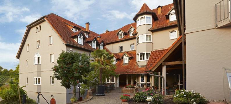 文思领事馆酒店(Consulat des Weins)图片