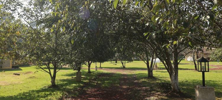 La Cascada小屋(Cabañas la Cascada)图片