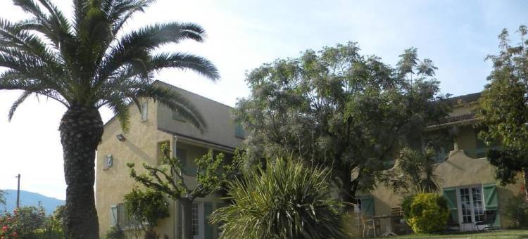 奥利威尔斯旅馆(Auberge les Oliviers)图片