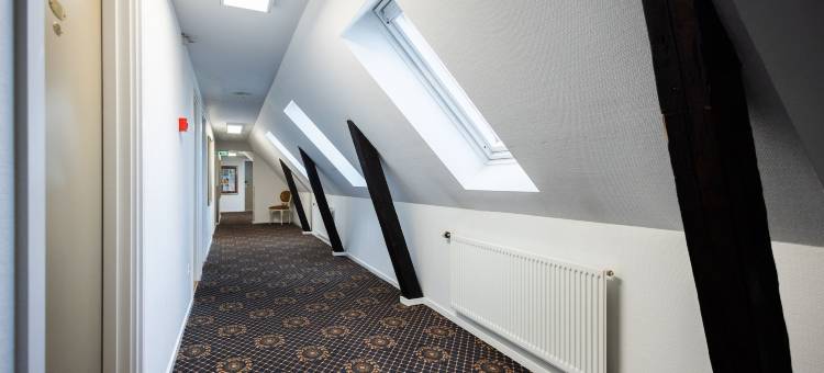 萨克西杜斯米林酒店(Milling Hotel Saxildhus)图片