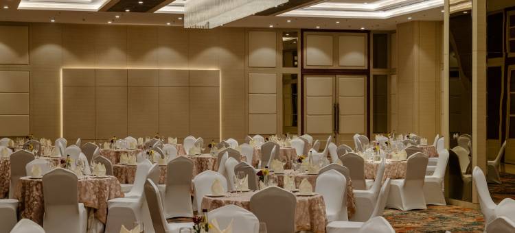 萨罗瓦尔波蒂科 阿杰梅尔(Sarovar Portico Ajmer)图片