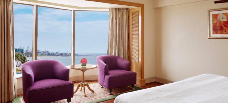 棕榈树林温德姆华美达广场酒店(Ramada Plaza by Wyndham Palm Grove)图片