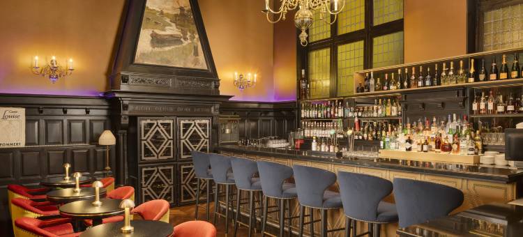 海牙德斯因德斯酒店(Hotel des Indes the Hague)图片