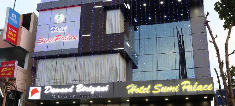 苏米宫酒店(Hotel Sumi Palace)图片