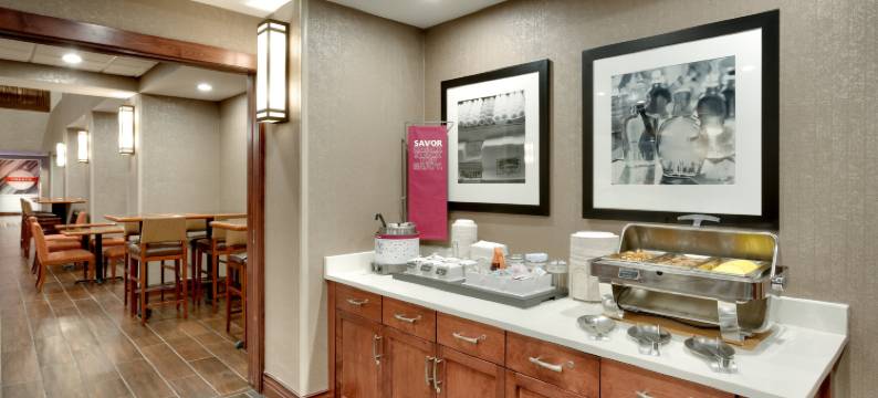 波卡特洛欢朋套房酒店(Hampton Inn & Suites Pocatello)图片