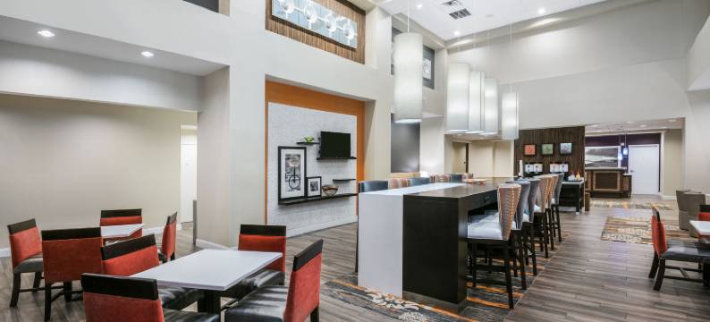 圣安东尼奥布鲁克斯城市基地希尔顿欢朋套房酒店(Hampton Inn & Suites San Antonio Brooks City Base Area)图片