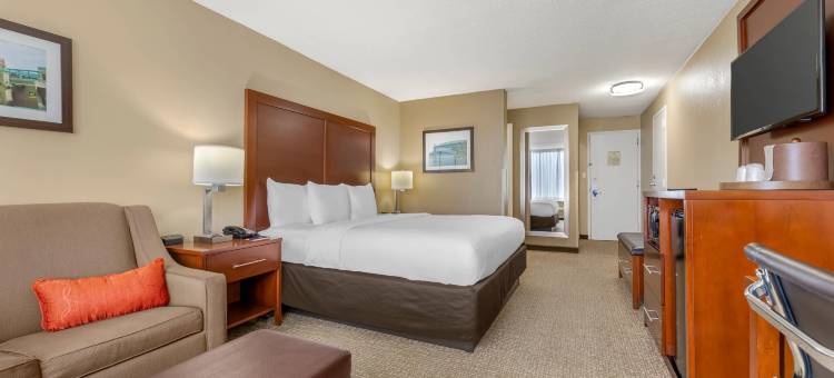 孟菲斯市中心舒适酒店(Comfort Inn Memphis Downtown)图片