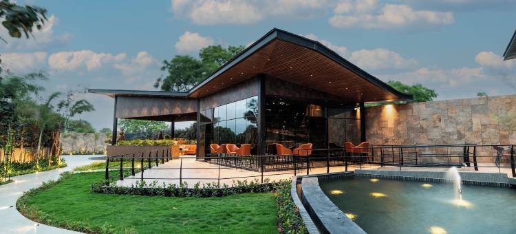 福雷斯特(Forrest)图片