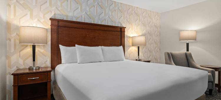 圣路易斯克雷夫科尔德鲁里套房酒店(Drury Plaza Hotel St Louis Creve Coeur)图片