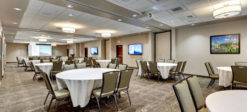 圣保罗市中心德鲁里广场酒店(Drury Plaza Hotel St. Paul Downtown)图片