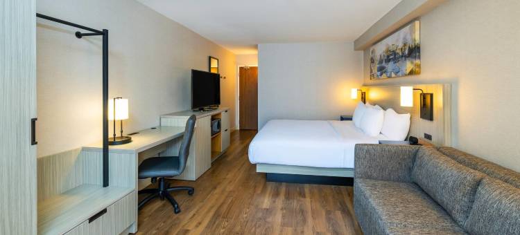 舒适酒店(Comfort Inn)图片