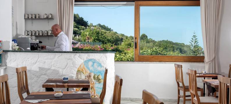 卡普里岛向日葵酒店(Hotel Il Girasole)图片