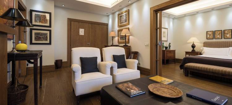 安达卢斯·欧星酒店宫殿(Eurostars Al-Ándalus Palace)图片