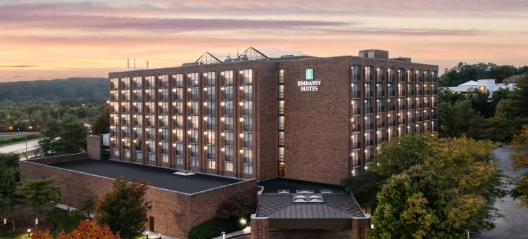 希尔顿安泊酒店-巴尔的摩狩猎谷(Embassy Suites by Hilton Baltimore Hunt Valley)图片
