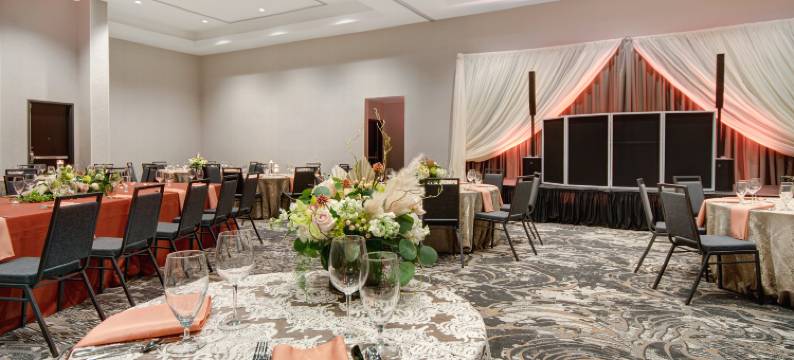 阿尔法利塔翡翠希尔顿安泊酒店(Embassy Suites by Hilton Alpharetta Halcyon)图片