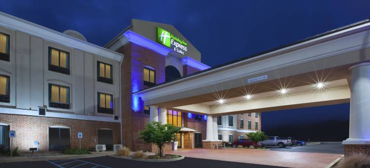 奈尔斯智选假日酒店(Holiday Inn Express & Suites NILES by IHG)图片
