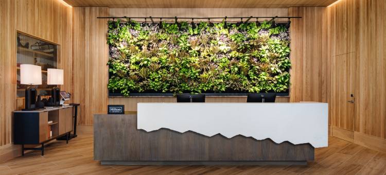 查塔努加市中心希尔顿惠庭套房酒店(Embassy Suites by Hilton Chattanooga Downtown)图片