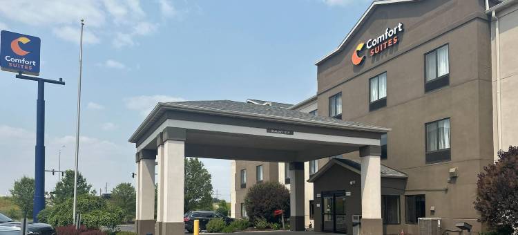 北部舒适套房酒店(Comfort Suites North)图片