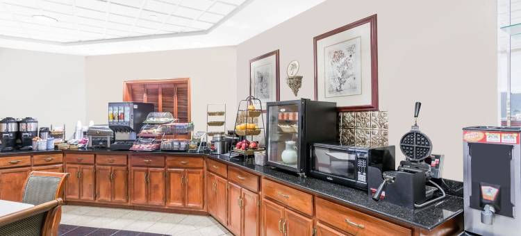 靠近东卡罗来纳大学的格林维尔舒适套房酒店(Comfort Inn & Suites Greenville Near East Carolina University)图片