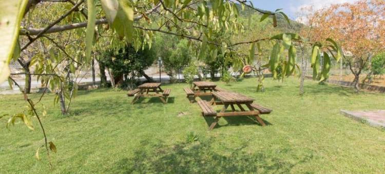 阿尔博尔戈村庄(Al Borgo Village)图片