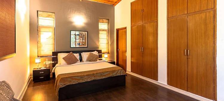 生活之树Junoon山中(Tree of Life Junoon in the Hills)图片