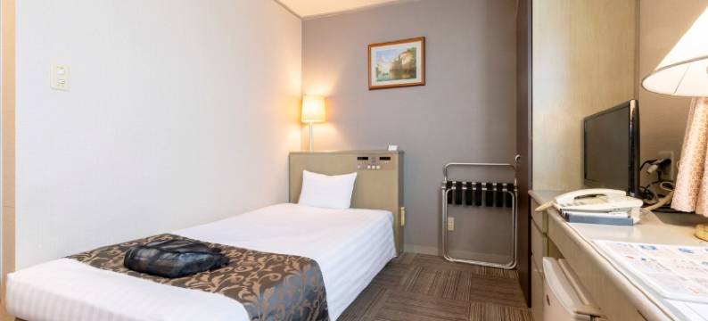 新琵琶湖酒店(New Biwako Hotel)图片