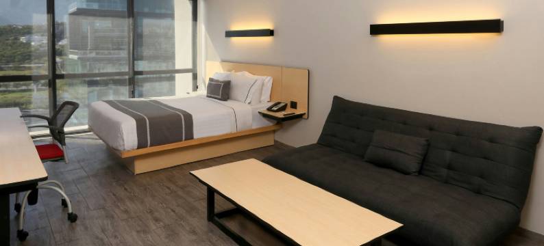 蒙特雷盖勒瑞斯万豪城市快捷普拉斯酒店(City Express Plus by Marriott Monterrey Galerias)图片