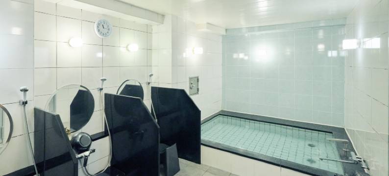 URBAIN广岛中央酒店(Urbain Hiroshima Central)图片