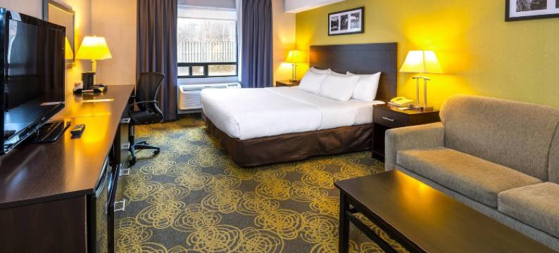 舒适套房酒店(Comfort Hotel & Suites)图片