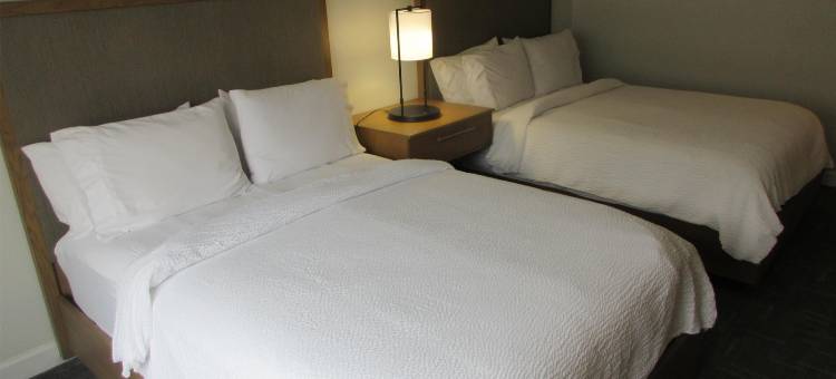 贝斯特韦斯特精品休斯敦市中心/会议中心酒店(Best Western Premier Houston Downtown/Convention Center Hotel)图片