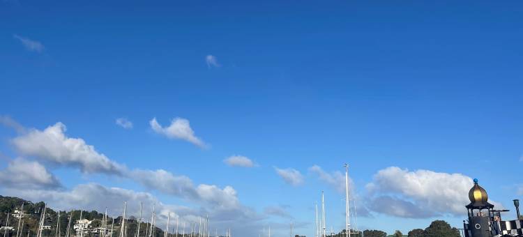 旺阿雷贝拉维斯特汽车旅馆(Bella Vista Motel Whangarei)图片