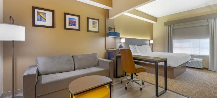匹兹堡机场舒适套房酒店(Comfort Suites Pittsburgh Airport)图片