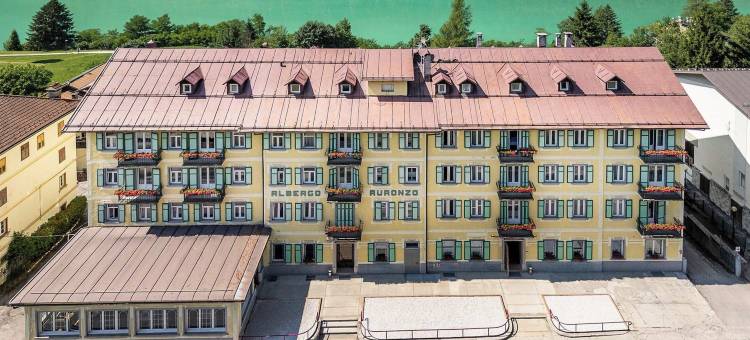 奥龙佐多洛米蒂酒店-隶属于美利亚(Hotel Auronzo Dolomites, Affiliated by Melia)图片