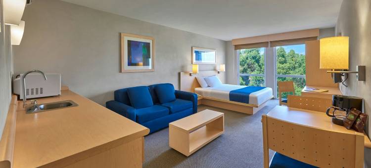 阿皮萨科城市快捷酒店(City Express by Marriott Apizaco)图片