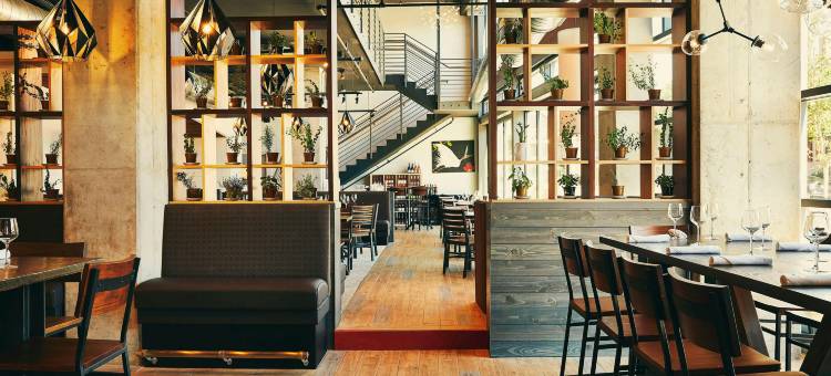 起草者酒店-傲途格精选(The Draftsman, Charlottesville, University, Autograph Collection Hotel)图片