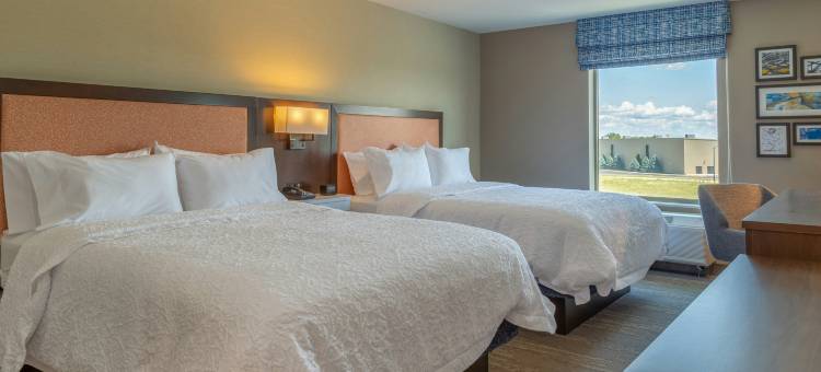 布尔博奈坎卡基希尔顿欢朋酒店(Hampton Inn by Hilton Bourbonnais/Kankakee)图片
