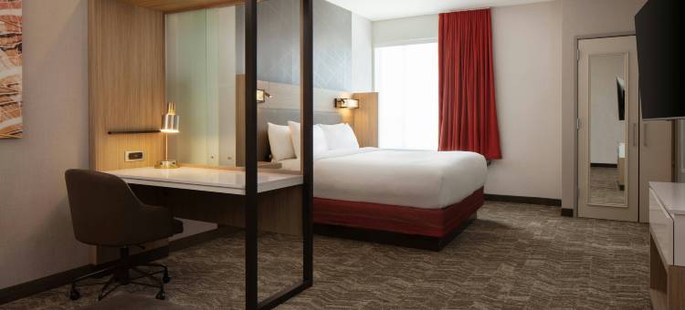 埃姆斯SpringHill Suites酒店(SpringHill Suites Ames)图片