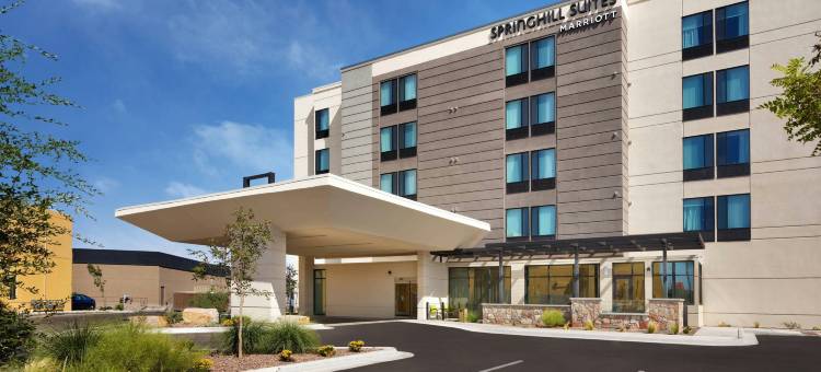 埃尔帕索机场SpringHill Suites酒店(SpringHill Suites El Paso Airport)图片