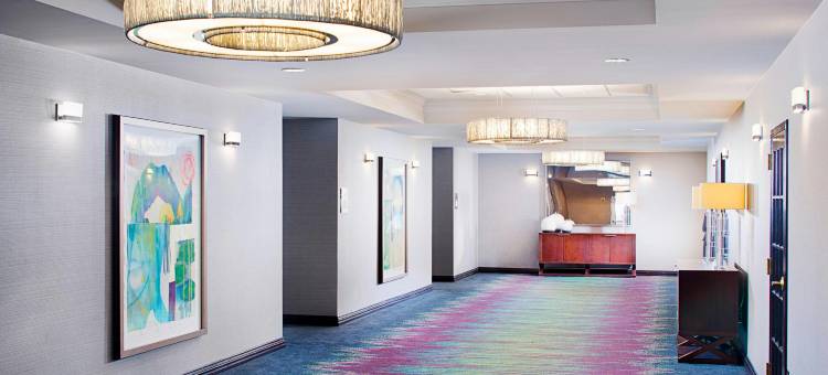 达拉斯医疗市场中心万豪套房酒店(Dallas Marriott Suites Medical/Market Center)图片