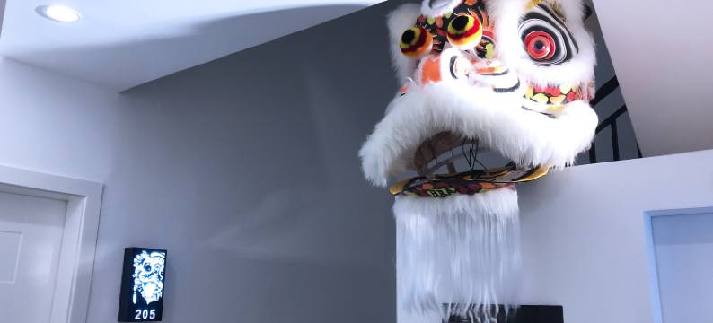 阳朔龙狮客栈(西街店)图片