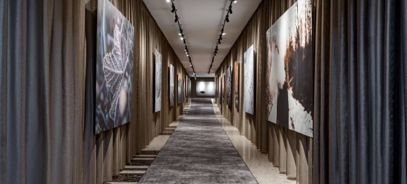 拉脱维亚丽笙蓝标水疗酒店及会议中心(Radisson Blu Latvija Conference Andspa Hotel, Riga)图片