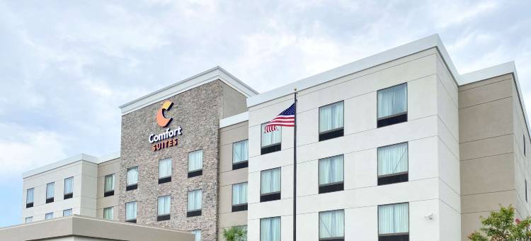 拜伦华纳罗宾斯舒适套房酒店(Comfort Suites Byron Warner Robins)图片