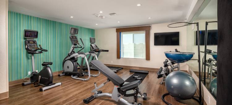 查茨沃斯智选假日套房酒店(Holiday Inn Express & Suites Chatsworth)图片