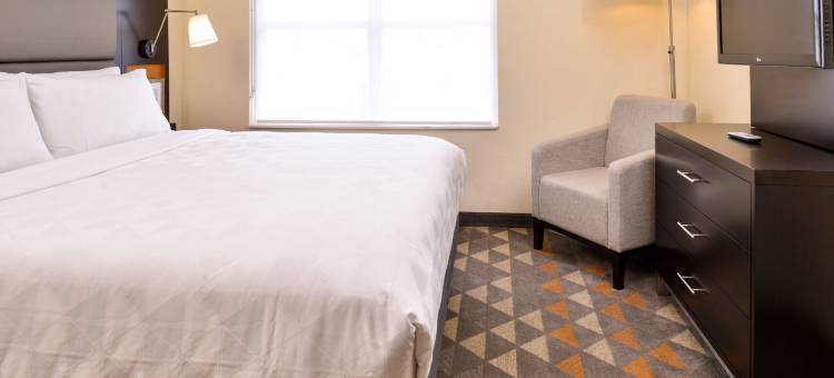 达拉斯艾迪生假日套房酒店(Holiday Inn & Suites Dallas-Addison)图片