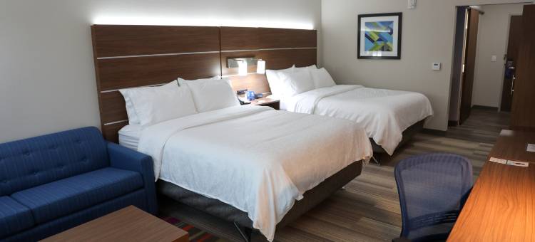 怀利西智选假日套房酒店(Holiday Inn Express & Suites Wylie West)图片