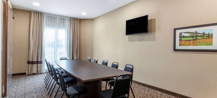 舒适套房酒店(Comfort Inn & Suites)图片