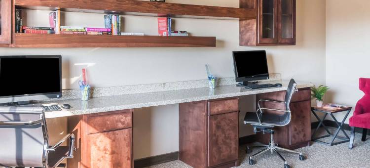 爱丁堡美茵斯坦套房酒店(MainStay Suites Edinburg South)图片